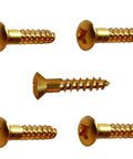 Heavy Duty Solid Brass Phillips Oval Head Wood Screws Sized At Six By Half Inch For Smooth Driving Into Softwood This 2500 Piece Bulk Kit Is An Absolute Slam Dunk For Any Crew.