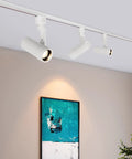 LED Track Lighting Heads With 24 To 60 Degree Adjustable Beam High Output Budget Friendly 13.5W displaying art on wall