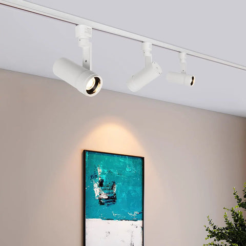 LED Track Lighting Heads With 24 To 60 Degree Adjustable Beam High Output Budget Friendly 13.5W displaying art on wall