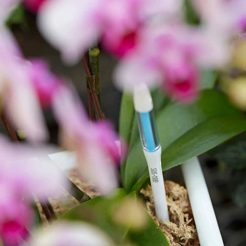 Five Pack Aquameter Soil Moisture Sensor Pen For Plants - Leave-In Moisture Meter With Continuous Readout, Fits 6 To 12 Inch Pots, White, Large Size, Great For Indoor Garden And Outdoor Containers. Leave-in moisture sensor in orchid pot, close-up.