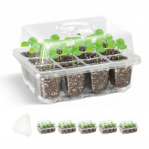 Five Pack Seed Starter Tray Kit With Humidity Dome 60 Cells Total Seed Starting Trays, seedlings growing under a clear lid