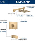 KENES Champagne Bronze Shower Set with Tub Faucet, Square Tub Shower Trim dimensions diagram showing sizes of components.
