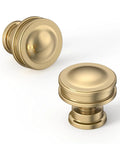 10 Pack Champagne Bronze Cabinet Knobs for Kitchen and Dresser Drawers Zinc Knob Hardware Includes Durable Pull Handles