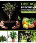 Person holding potted plant, fresh produce with text highlighting benefits of Plant And Lawn Growth Booster With Liquid Bone Meal Fertilizer To Revitalize Soil And Boost Root Health For Indoor And Outdoor Plants And Lawns 120G Easy To Use Pro Grade Soil Revitalizer.