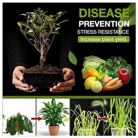 Person holding potted plant, fresh produce with text highlighting benefits of Plant And Lawn Growth Booster With Liquid Bone Meal Fertilizer To Revitalize Soil And Boost Root Health For Indoor And Outdoor Plants And Lawns 120G Easy To Use Pro Grade Soil Revitalizer.