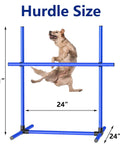 Dog jumping over 6 Weave Poles Or 2 Hurdles Convertible Dog Agility Set for Indoor and Outdoor Training, blue hurdle shown