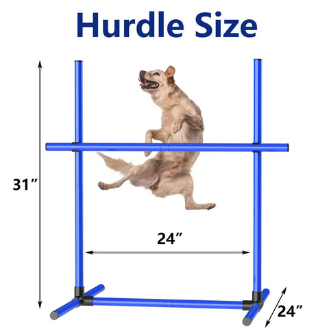 Dog jumping over 6 Weave Poles Or 2 Hurdles Convertible Dog Agility Set for Indoor and Outdoor Training, blue hurdle shown