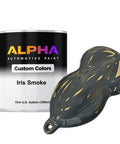 Metallic Smoke Automotive Basecoat Paint Gallon With Slow Reducer Included Ready To Spray High Gloss Finish Hella Durable Top Notch Coverage Dope Metallic Grey Coating Great For Cars And Trucks with a sample chip