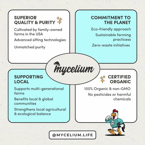 Infographic of Mycelium showcasing organic farming, quality, purity, local support, and certification benefits with cartoon rooster.