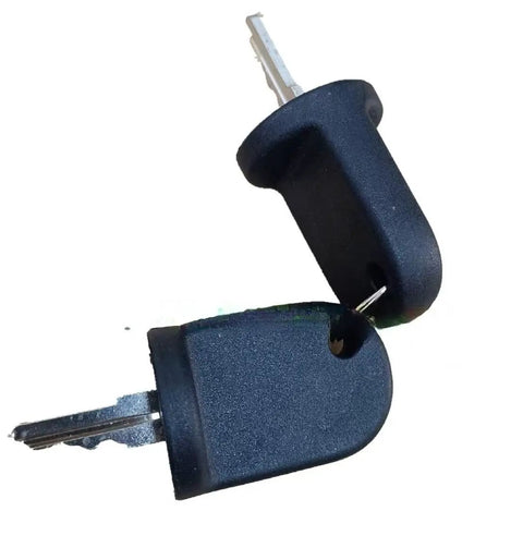 Two Ignition Keys 611282 For RXV Golf Cart Gas Or Electric 2008 And Up Key Replacement Set Durable Easy Fit High Quality Materials