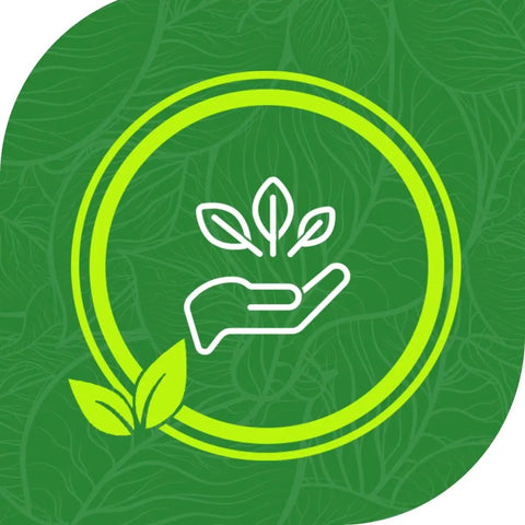 Green leaf design with hand holding sprouting plant inside a circular frame, symbolizing eco-friendliness and sustainability.