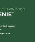 Organic Spring Lawn Fertilizer 10 0 6 32 Lb Bag Covers Up To 5000 Sq Ft Gives Your Lawn A Quick Green Up With Slow Release Nitrogen