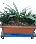 Heavy Duty Plastic Moving Dolly Workhorse 30 Inch By 18 Inch Load Capacity Up To 1000 Lb With Steel Reinforced Plastic Frame