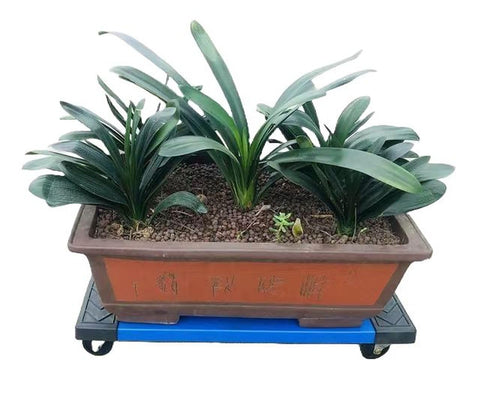 Heavy Duty Plastic Moving Dolly Workhorse 30 Inch By 18 Inch Load Capacity Up To 1000 Lb With Steel Reinforced Plastic Frame