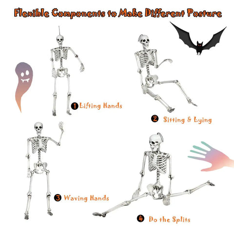 Life Size Halloween Skeleton With Seven Joints 5.4 Ft Realistic Human Bones Made From PP in various poses for decor ideas
