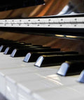 Heavy Duty Stainless Steel Piano Hinges, 2 Inch By 20 Inch Continuous Cabinet Hardware, installed on piano keys.