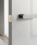Premium Brass Closet Door Ball Catch Latch 10 Pack installed on door with sleek handle for smooth operation and secure closure.