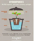 Hydroponics diagram: plant in black grow bucket inside blue water reservoir; ActiveAQUA branding.