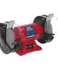 Workshop Beast 200 Millimeter Bench Grinder With 600 Watt Copper Motor And Dual Grind Stones on a stable red base.