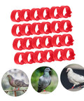 Pigeon Foot Ring Set 200 Pcs Plastic Leg Bands 10mm Clip Identification Rings for Poultry and Birds Supplies, displayed with pigeons wearing rings