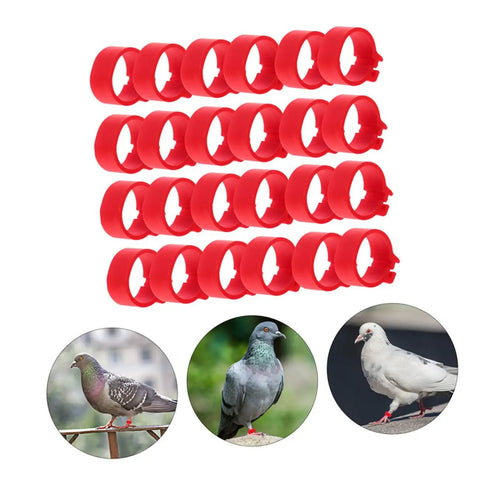 Pigeon Foot Ring Set 200 Pcs Plastic Leg Bands 10mm Clip Identification Rings for Poultry and Birds Supplies, displayed with pigeons wearing rings