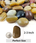5 Lb Mixed Color River Pebbles 2 to 3 Inch Large Polished Stones with a coin for size comparison