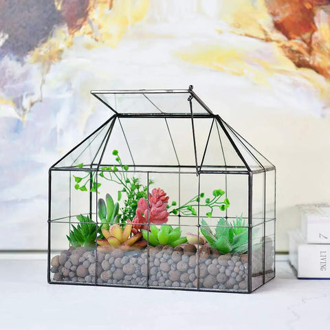 Glass Terrarium House Planter With Swing Lid For Succulents And Small Plants, Modern Glass Greenhouse Habitat, Black Accent, Totally Perfect For Moss, Ferns, Cacti, And Venus Flytrap, 9.8 By 7.9 By 5.9 Inches