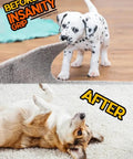 Non Slip Rug Tape Peel And Stick Gripper Before and After Images with Dogs on Rugs