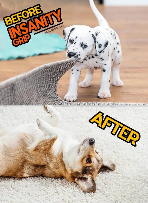 Non Slip Rug Tape Peel And Stick Gripper Before and After Images with Dogs on Rugs