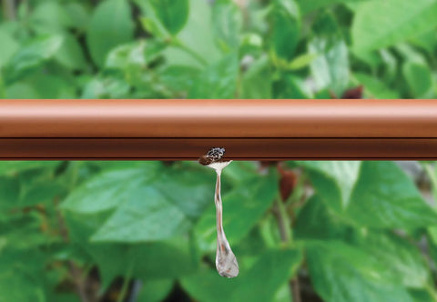 Rain Bird 1/2-inch emitter tubing, brown, drip irrigation with water dripping from emitter