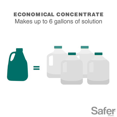 Diagram showing Insect Killing Soap Concentrate For Plants Insecticidal Soap That Wipes Out Aphids Whiteflies Thrips Spider Mites And More OMRI Listed For Organic Use Safe On Most Flowers Herbs Vegetables Houseplants Lawn And Garden making 6 gallons of solution.