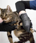 Person wearing black nitrile gloves holding a cat for grooming, showcasing the pet's calm demeanor and attentive care.