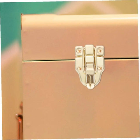Retro Style Metal Box Hasp Latch Set 15 Piece Duckbill Draw Latch Kit in durable iron finish on small cabinet