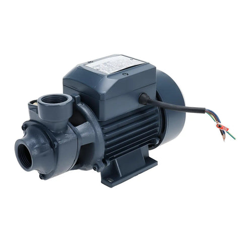 Heavy Duty Half HP Electric Centrifugal Water Pump For Pools Ponds Tanks And Rain Barrels Cast Iron Body Brass Impeller Stainless Steel