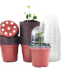 Set of 25 red four-inch seed starter pots with clear humidity domes and drainage holes, used for seedlings and small plants.