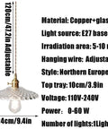 UIOLCFF Classic Creative Personality Nordic Minimalist Glass Shade Single-Head Hanging Light with adjustable copper wire.