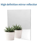 Front view of 12x12 inch silver mirrored acrylic sheet, 1/8 inch thick, shown with two potted succulents