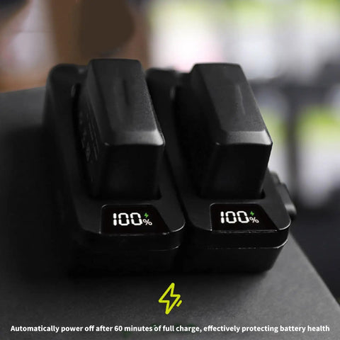Four Battery Bicycle Charger Tool With Level Display Auto Shutoff for Simultaneous Charging showing two batteries at 100%