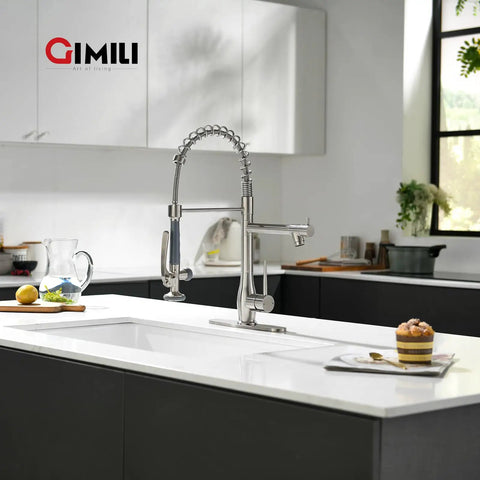 Pull Down Sprayer Kitchen Faucet With Single Handle And Two Independent Nozzles, Brushed Nickel Finish, in modern kitchen sink area