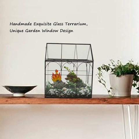 Large Tall Glass Terrarium With Lid For Indoor Plants Dope Desktop Greenhouse Enclosure For Orchids Succulents And Cacti Tall Tabletop Display In Black Frame 8.7 By 5.9 By 10.6 Inches Easy Lift Lid