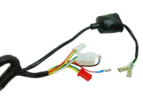Complete GY6 Wiring Harness For 50cc 70cc 90cc 110cc 125cc 4 Stroke ATVs Mopeds Dirt Bikes Go Karts Ride Ready Replacement Upgrade TaoTao VIP 139QMB