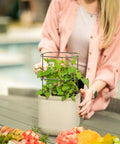 Indoor Garden Mini Planter With Trellis Self Watering System For Climbing Vegetables And Herbs Countertop Planter Box 2 Pack