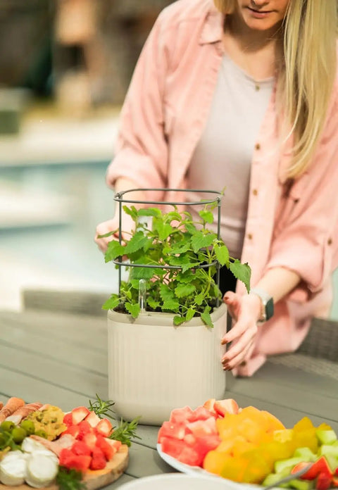 Indoor Garden Mini Planter With Trellis Self Watering System For Climbing Vegetables And Herbs Countertop Planter Box 2 Pack