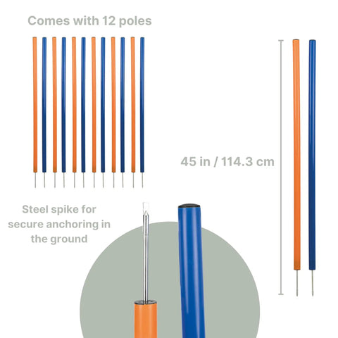 All Breeds Dog Agility Slalom Course With 12 Weave Poles Easy Assembly Outdoor Training Gear showing 45-inch blue and orange poles with steel spikes