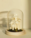 Mushroom Night Light In Glass Dome With Wooden Base LED Decor Lamp For Home Bedroom Office Wedding Party Valentine Gift