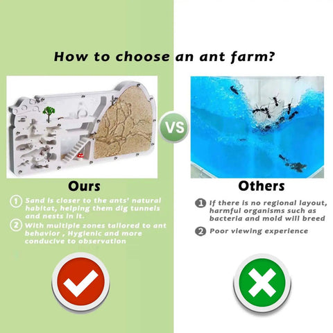 Comparison chart showing pros of Large Viewing Ant Farm For Live Ants And Sand Habitat versus another ant farm type.