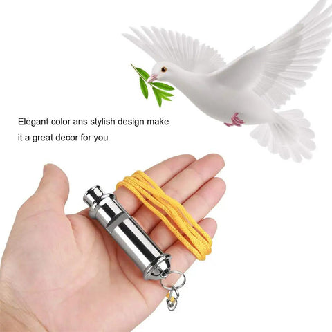 Hand holding Stainless Steel Ultrasonic Pigeon Whistle With Lanyard For Bird Training And Pet Behavior Improvement