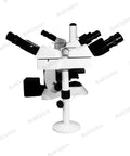 Five Head Multiview Teaching Microscope With Trinocular Eyepieces 40X To 1000X Magnification Led Illumination, side view