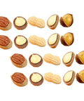 Twenty Piece Miniature Resin Nut Embellishments For Dollhouse Food Props Realistic Walnuts And Nuts For DIY Crafts Display