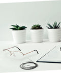 Eyeglasses Repair String For Half Frame Glasses Easy Quick Fix Tool on a desk with open notebook and potted plants in the background